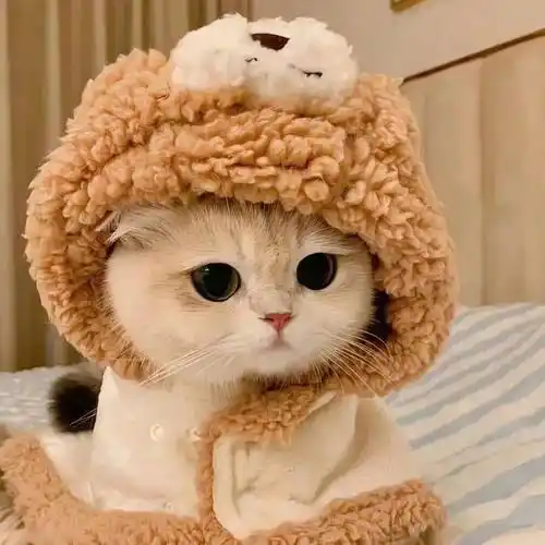 XESE的头像-pixiv插画-作品交流服务